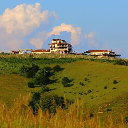 Hotel Seven Generations Winery Mechka