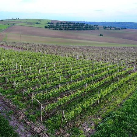 Hotel Seven Generations Winery 4*