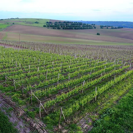 מלון Seven Generations Winery 4*