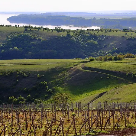 Seven Generations Winery 4*