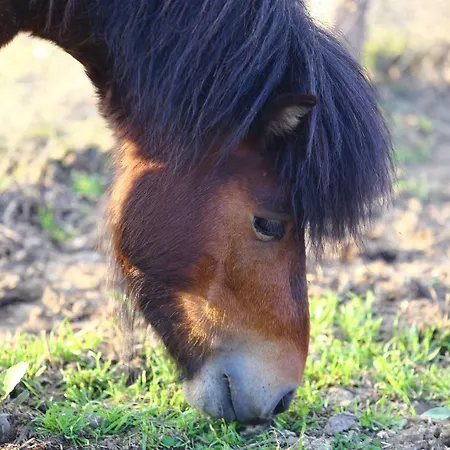 Hotel Seven Generations Winery 4*