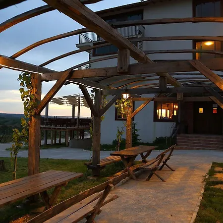 Seven Generations Winery Mechka