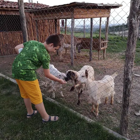 Seven Generations Winery מלון Mechka