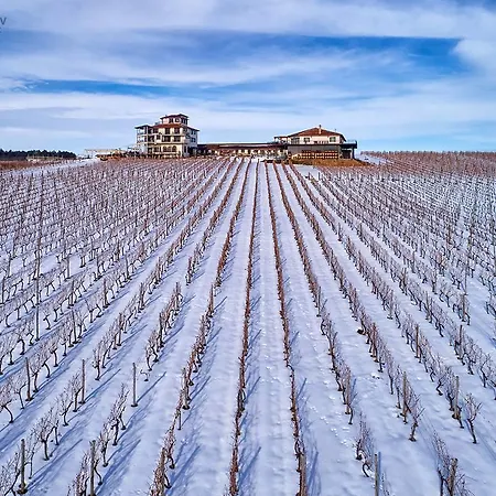 酒店 Seven Generations Winery