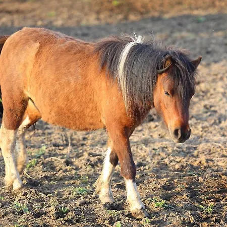 Seven Generations Winery