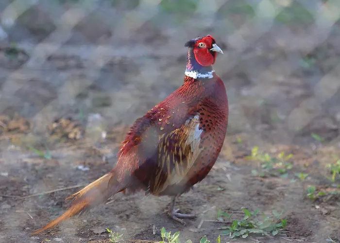 Seven Generations Winery ホテル Mechka