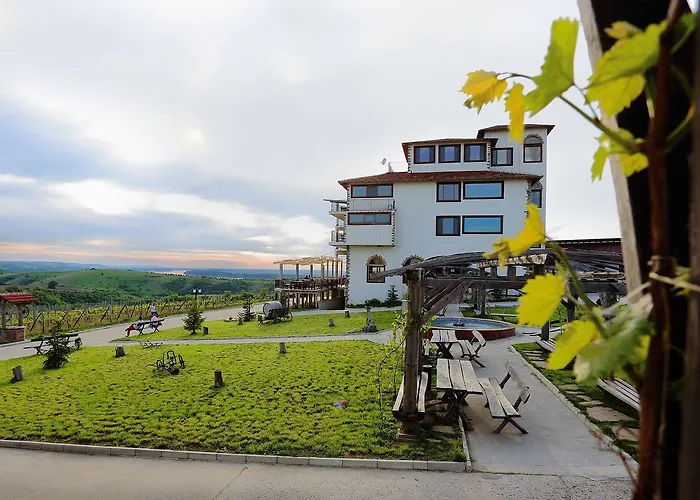 Seven Generations Winery