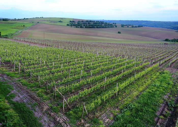 ホテル Seven Generations Winery 4*