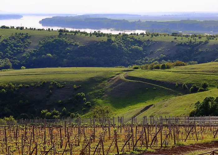 Seven Generations Winery 4*