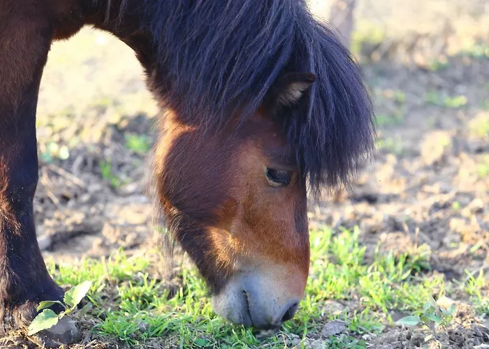 ホテル Seven Generations Winery 4*