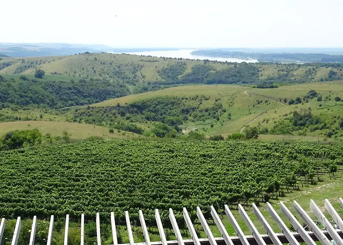 ホテル Seven Generations Winery