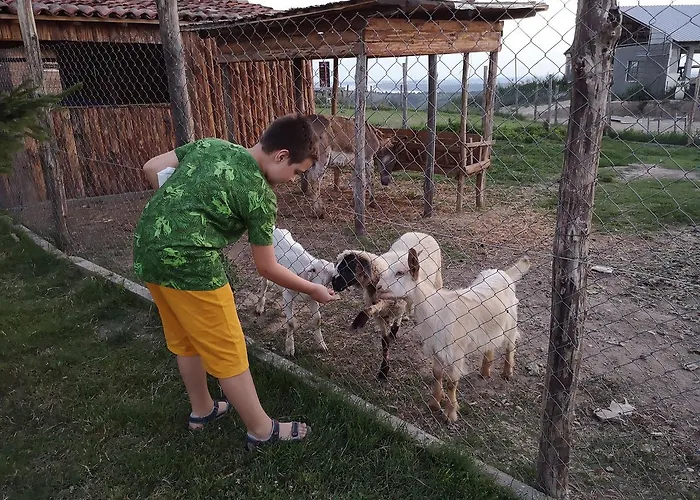 Seven Generations Winery Hotel Mechka