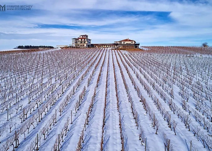 ホテル Seven Generations Winery