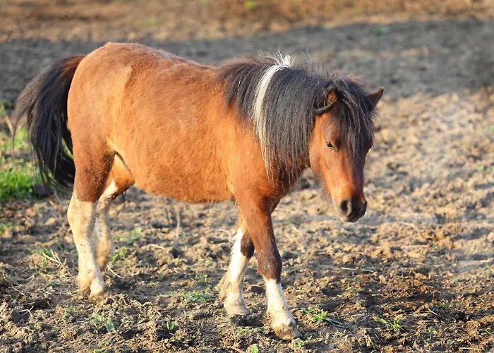Seven Generations Winery