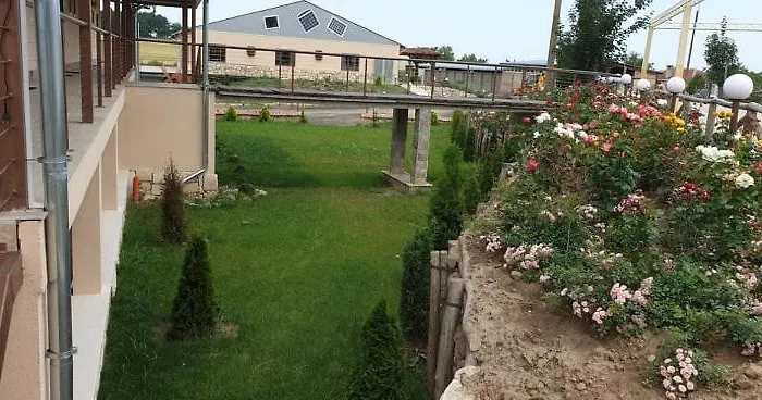 Seven Generations Winery